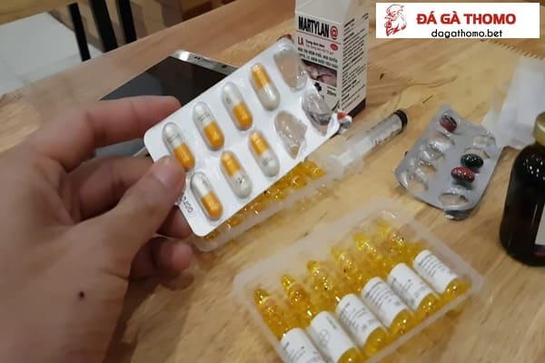 Thuốc bổ cho gà đá
