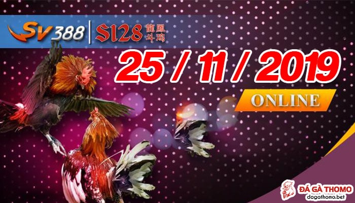 Xem đá gà Philippines trực tiếp thứ 2 ngày 25/11//2019