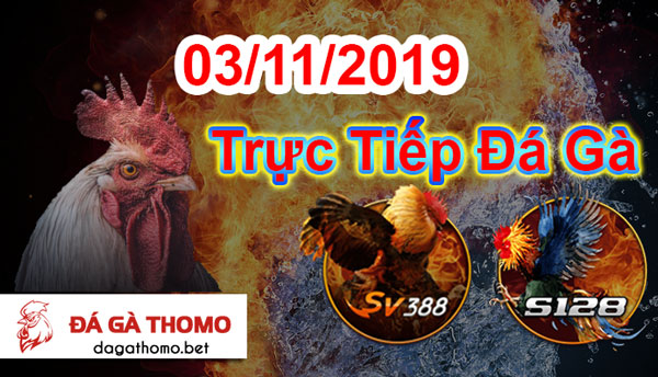 da ga thomo 03-11-2019