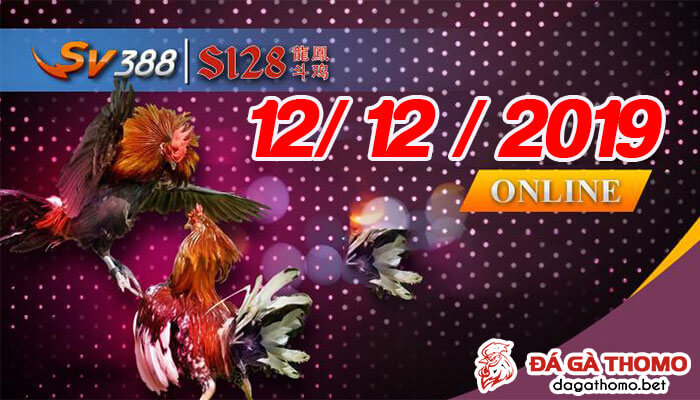 Live đá gà cựa dao trực tiếp từ trường gà Philipines ngày 12/12/2019