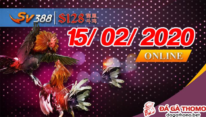 Live đá gà Mỹ trực tiếp từ trường gà Philipines ngày 15/02/2020