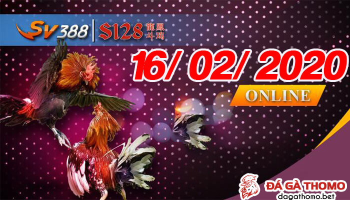 Video đá gà cựa dao - Philipines thứ 3 ngày 17/02/2020