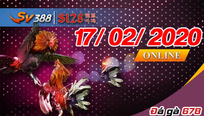 Video đá gà cựa dao - Philipines thứ 3 ngày 17/02/2020