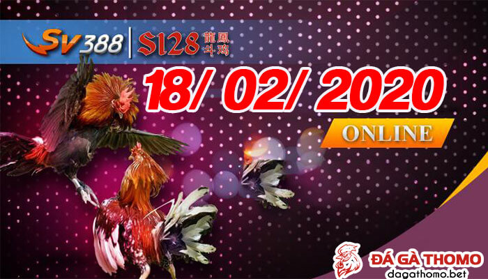 Coi đá gà cựa dao trực tiếp từ trường gà Philipines ngày 18/02/2020