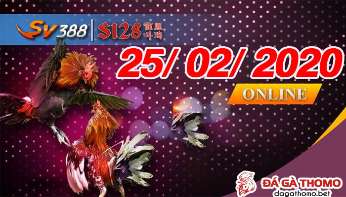 Xem đá gà Philipines trực tiếp ngày 25/02/2020