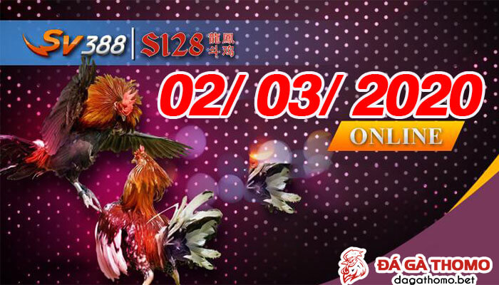 Live trực tiếp đá gà Philipines ngày 02/03/2020