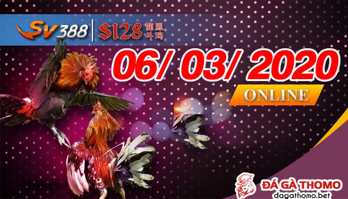 Coi đá gà cựa dao trực tiếp ngày 06/03/2020