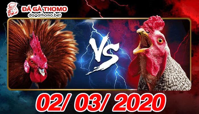 Live trực tiếp đá gà Campuchia ngày 02/03/2020 Live trực tiếp đá gà Campuchia ngày 02/03/2020