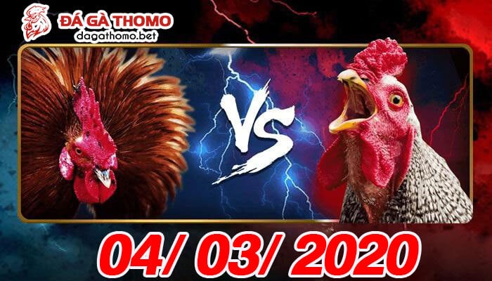 Video đá gà Campuchia trực tiếp ngày 04/03/2020