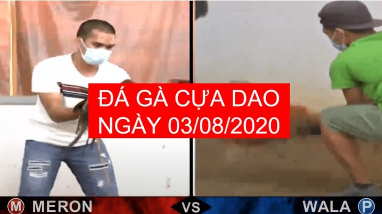 da ga cua dao moi nhat 03-08-2020