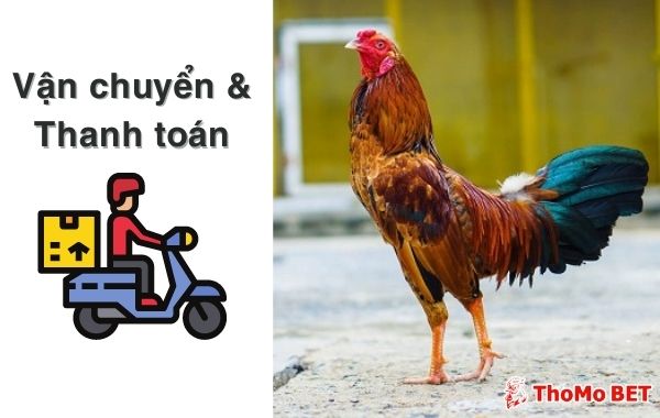 Gà Đá Củ Chi